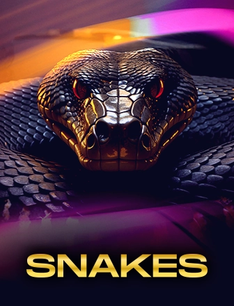 Three Snakes game on Jogniyabook