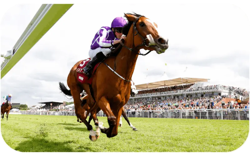 Horse racing markets