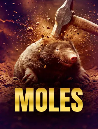 Moles instant game